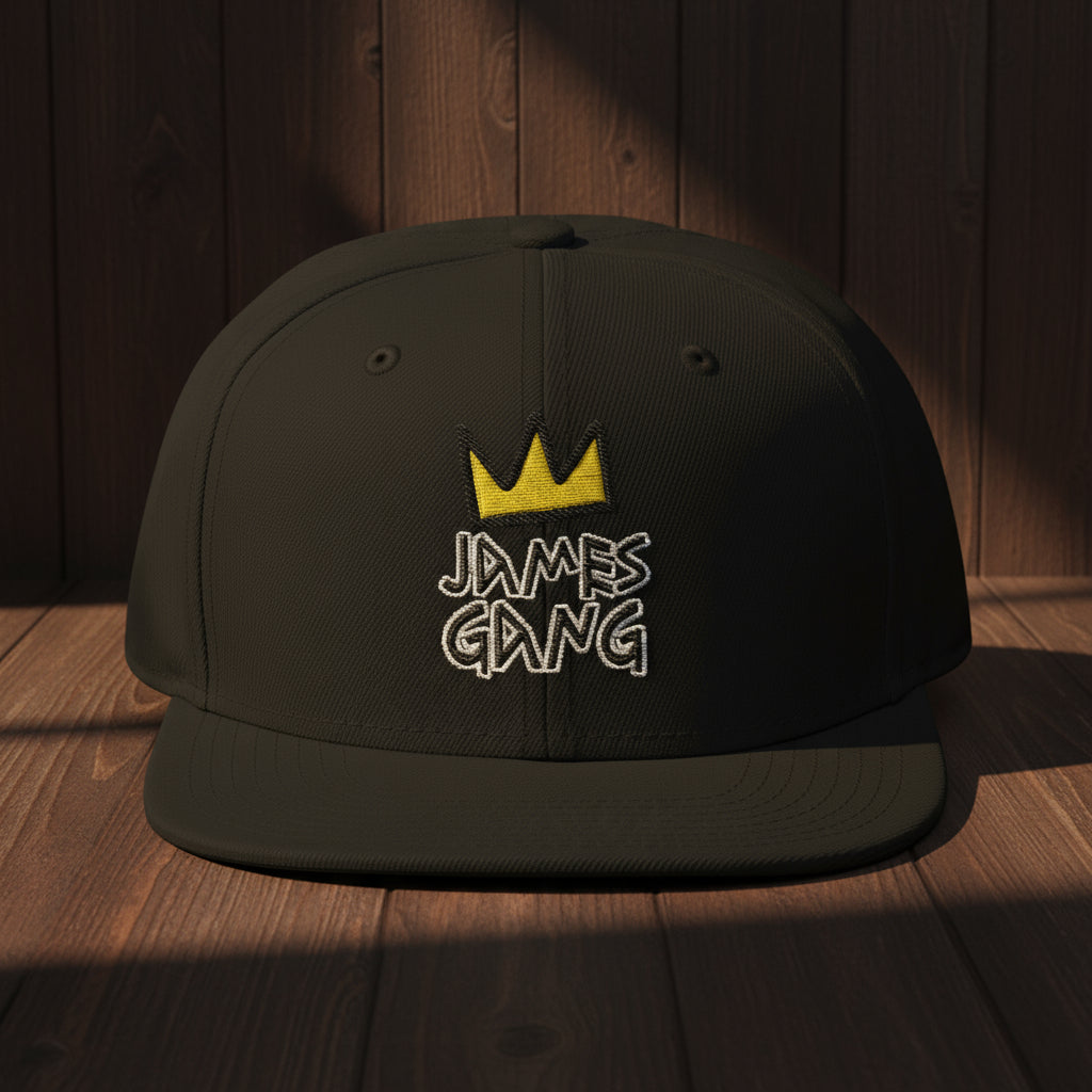 “James Gang Embroidered Snapback Cap in Black – unisex streetwear hat front view”