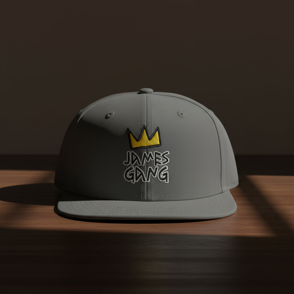 “James Gang Embroidered Snapback Cap in Charcoal Gray – front streetwear angle”