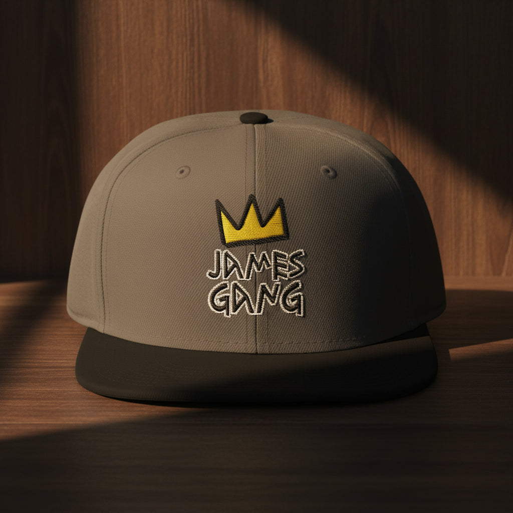 james gang embroidered snapback cap gray black black model front jpg